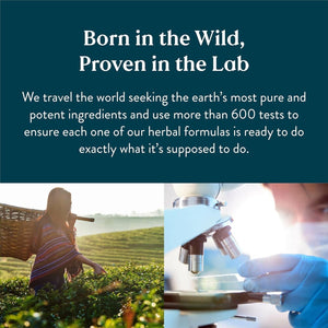 Nature'S Sunshine PDA Combination, Hydrochloric Acid and Pepsin Supplement That Helps Break down Proteins in the Digestive Tract 180 Capsules