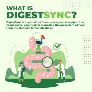Digestsync Digestion Supplement for Gut Health - Natural Powder for Digestive Support, Bloating Relief 1 Month Supply