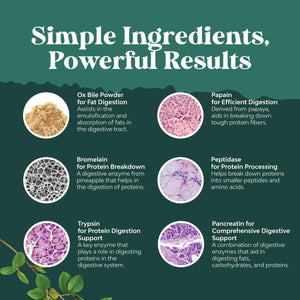 Digestive Enzymes with Ox Bile Supplement - Purified Ox Bile Salts for No Gallbladder & Pancreas Cleanse, Detox & Repair - (1 Month Supply)