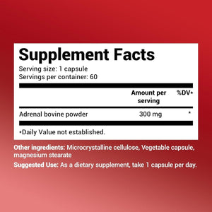 Dr. Berg Adrenal Glandular - Hormone Balance Formula | Adrenal Support Supplement - 60 Capsules - Suppviv