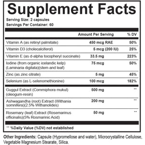 Dr. Westin Childs - T3 Conversion Booster - Thyroid Support for Women 60 Servings - Suppviv