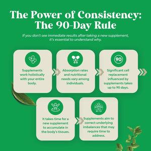 Gallbladder Support Digestive Enzymes with Ox Bile for Gallbladder & Pancreas Cleanse, Detox & Repair - 90 Capsules