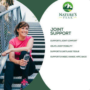 Glucosamine Chondroitin Supplements MSM Complex - 60 Capsules