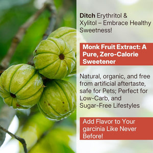 Sugar Free Garcinia Cambogia Gummies 1000Mg 95% HCA Pure Extract, Strawberry Flavor 60 Count