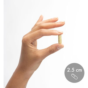 Dr. Mercola Quercetin and Pterostilbene Advanced - Supports Lung and Immune Health 30 Servings