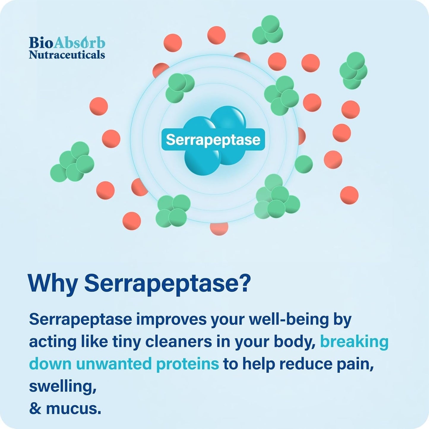 Bioabsorb Serrapeptase Supplement 120000 SPU, High Potency, Delayed Release