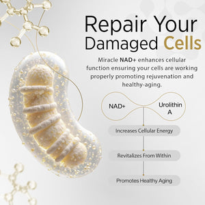 Miracle NAD with Urolithin a Supplement , Trans Resveratrol - Healthy-Aging, Cellular Energy & Repair - 60 Capsules