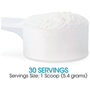 Silver Fern Gut Repair - Digestive Health Supplement Powder (1 Tub - 30 Servings)