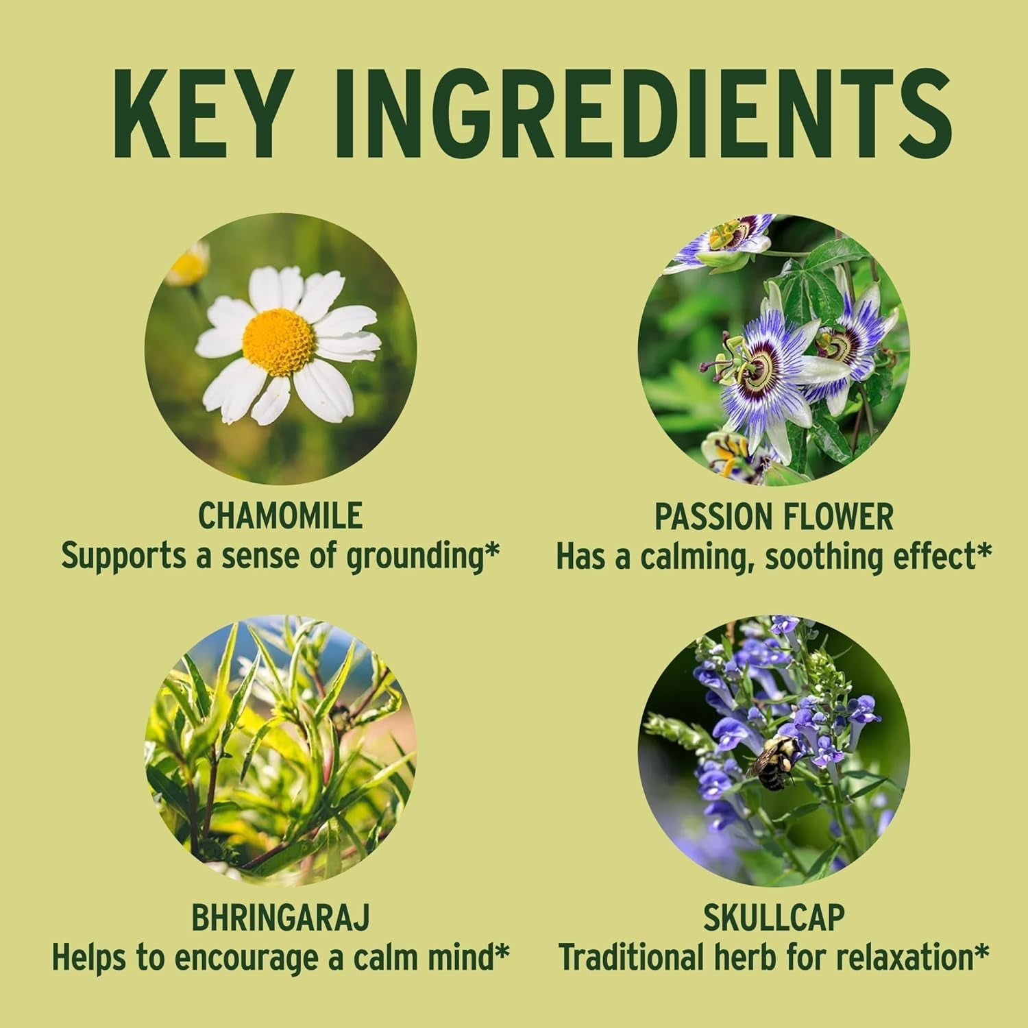 Banyan Botanicals Tranquil Mind  – Supports Occasional Anxiousness & Promotes a Sense of Calm 90 Tablets