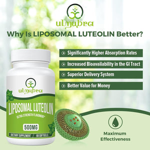 Liposomal Luteolin 500MG, Maximum Absorption, Potent Flavonoid, 60 Softgels