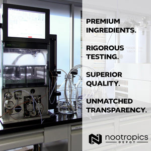 Nootropics Depot High Potency Saffron Extract Capsules | 30Mg | Crocus Sativus | 60 Count