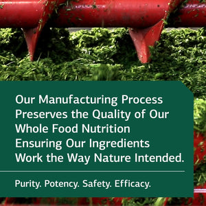 Standard Process Inc - Whole Food Spleen, Bone Health, Immune Support, Metabolism and Thyroid Support 90 Tablets