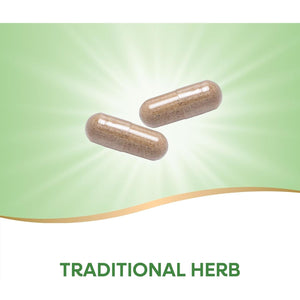 Nature'S Way Butcher’S Broom, Traditional Herb, 720 Mg 100 Vegan Capsules