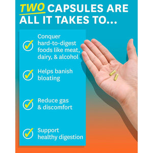 Zenwise Health NO Bloat Probiotics for Women and Men Digestive Health 60 Count.