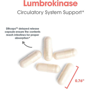 Allergy Research Group Lumbrokinase Supplement - Circulatory System Support- 60 Delayed Release Vegetarian Capsules