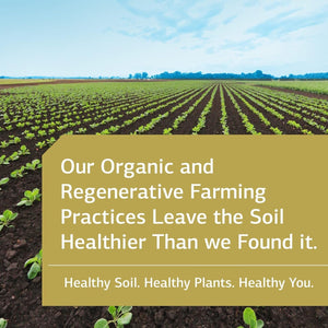 Standard Process Cyrofood - Whole Food Digestion, Digestive Health and Wellbeing - 360 Tablets