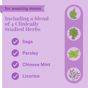 Pink Stork No Flow: Dry up Breast Milk Supply with Sage, Parsley, and B Vitamins, Postpartum Essentials for Women 60 Capsules.