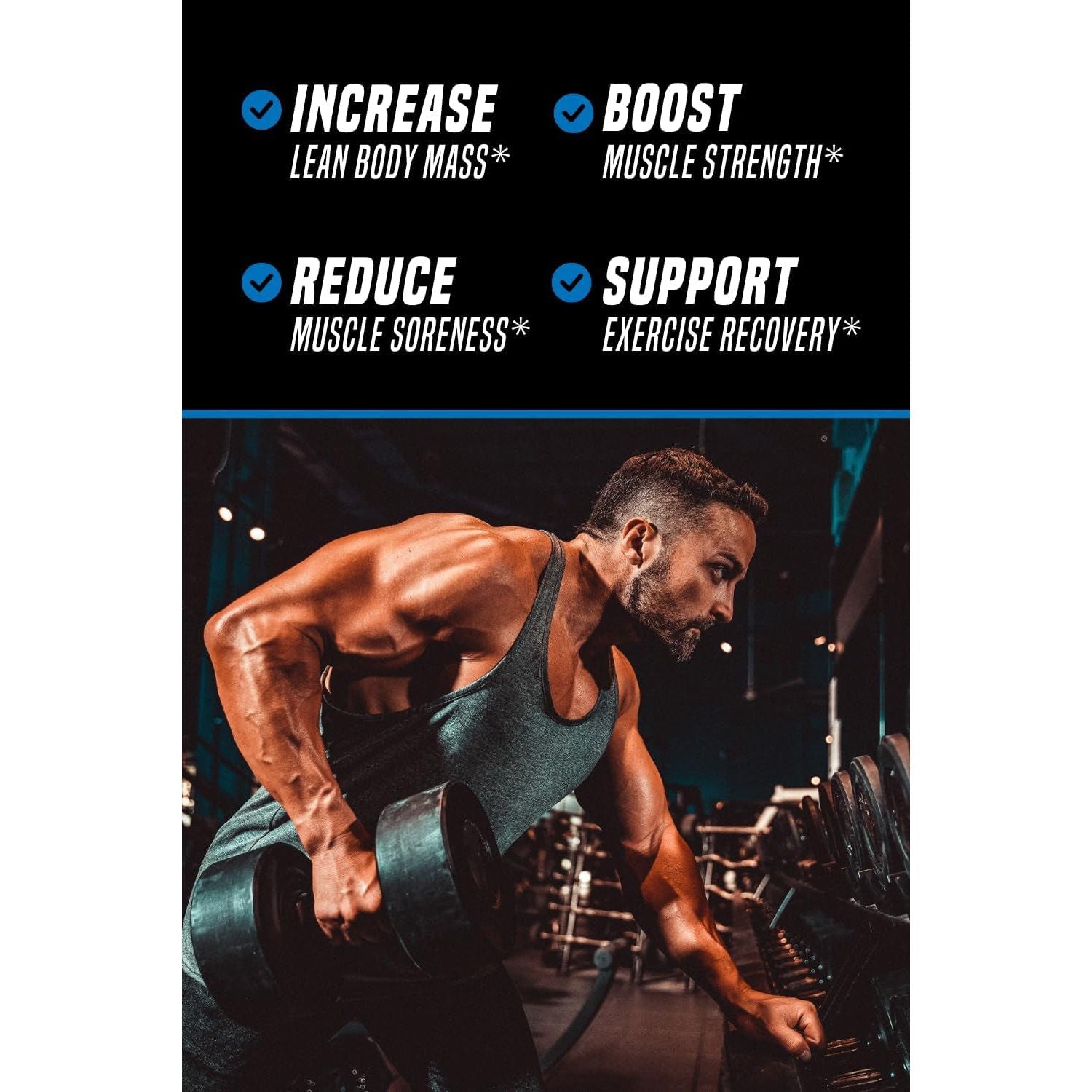 Outwork Nutrition Recovery Supplement, Post Workout Recovery Powder & Muscle Builder, Berry Splash, 240 Grams