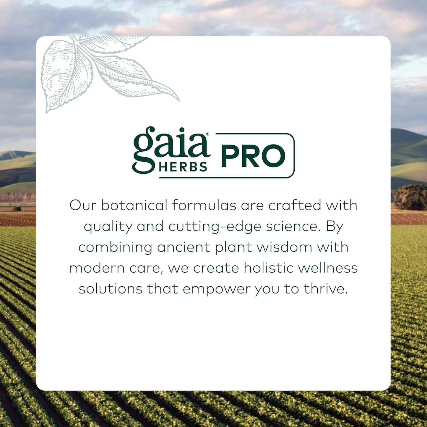 Gaia Herbs Pro Prostate Support - with Saw Palmetto, Stinging Nettle & More - 60 Vegan Liquid Phyto-Capsules