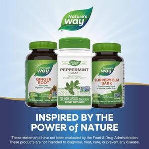 Nature'S Way Premium Herbal Peppermint Leaf, Traditional Digestive Soothing and Discomfort Support* (700 Mg/50 Servings)
