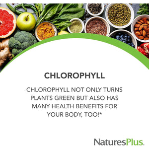 Natures plus Chlorophyll Complex - 90 Vegetarian Capsules - Nutritional Support for General Well-Being