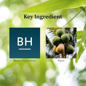 Nature'S Sunshine PDA Combination, Hydrochloric Acid and Pepsin Supplement That Helps Break down Proteins in the Digestive Tract 180 Capsules