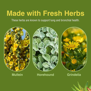 Herbs Etc. Lung Tonic - Lung Supplement for Bronchial Support - Healthy Breathing Support - 60 Softgels