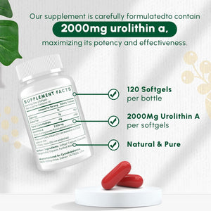 Urolithin A Supplement 2000MG - for Healthy Aging, Antioxidants and Mitochondrial Support - 120 Softgels/Servings