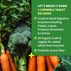 Garden of Life Dr Formulated Digestive Enzymes 90 Chewables