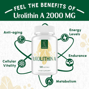 Urolithin A Supplement 2000MG - for Healthy Aging, Antioxidants and Mitochondrial Support - 120 Softgels/Servings