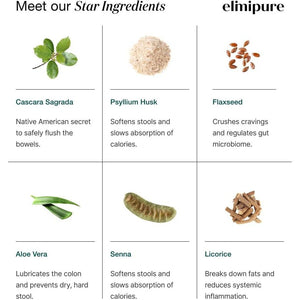 Natural & Effective Gut Detox and Cleanse Capsules | Fortify Your Gut Microbiome