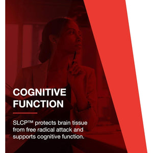 PROTOCOL for LIFE BALANCE Cogumin SLCP 400Mg Curcumin - Cognitive Support Supplement 50 Capsules