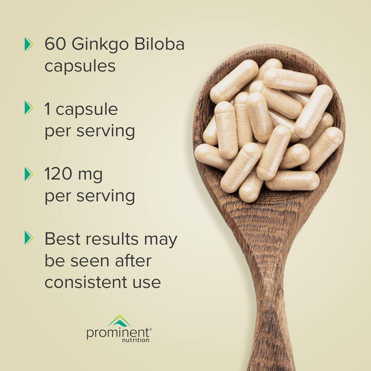 Prominent Nutrition Ginkgo Biloba 120Mg to Help Support Memory & Focus 60 Day Supply