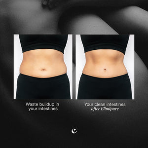 Natural & Effective Gut Detox and Cleanse Capsules | Fortify Your Gut Microbiome