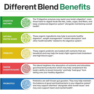 Wholesome Wellness Digestive Enzymes 1000MG plus Prebiotics & Probiotics Supplement, 180 Capsules