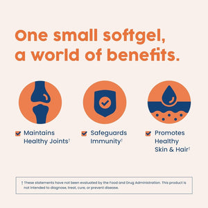 Nativepath Turmeric Curcumin with Black Seed Oil - Advanced Antioxidant & Joint Support Supplement 60 Softgels