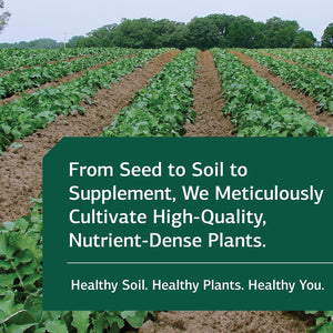 Standard Process Lact-Enz - Whole Food Immune Support, Digestion and Digestive Health 90 Capsules