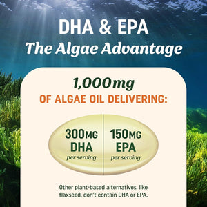 Vegan Omega 3 Algae Oil | Plant Based DHA EPA | Heart, Brain, and Eye Health 60 Softgel Capsules