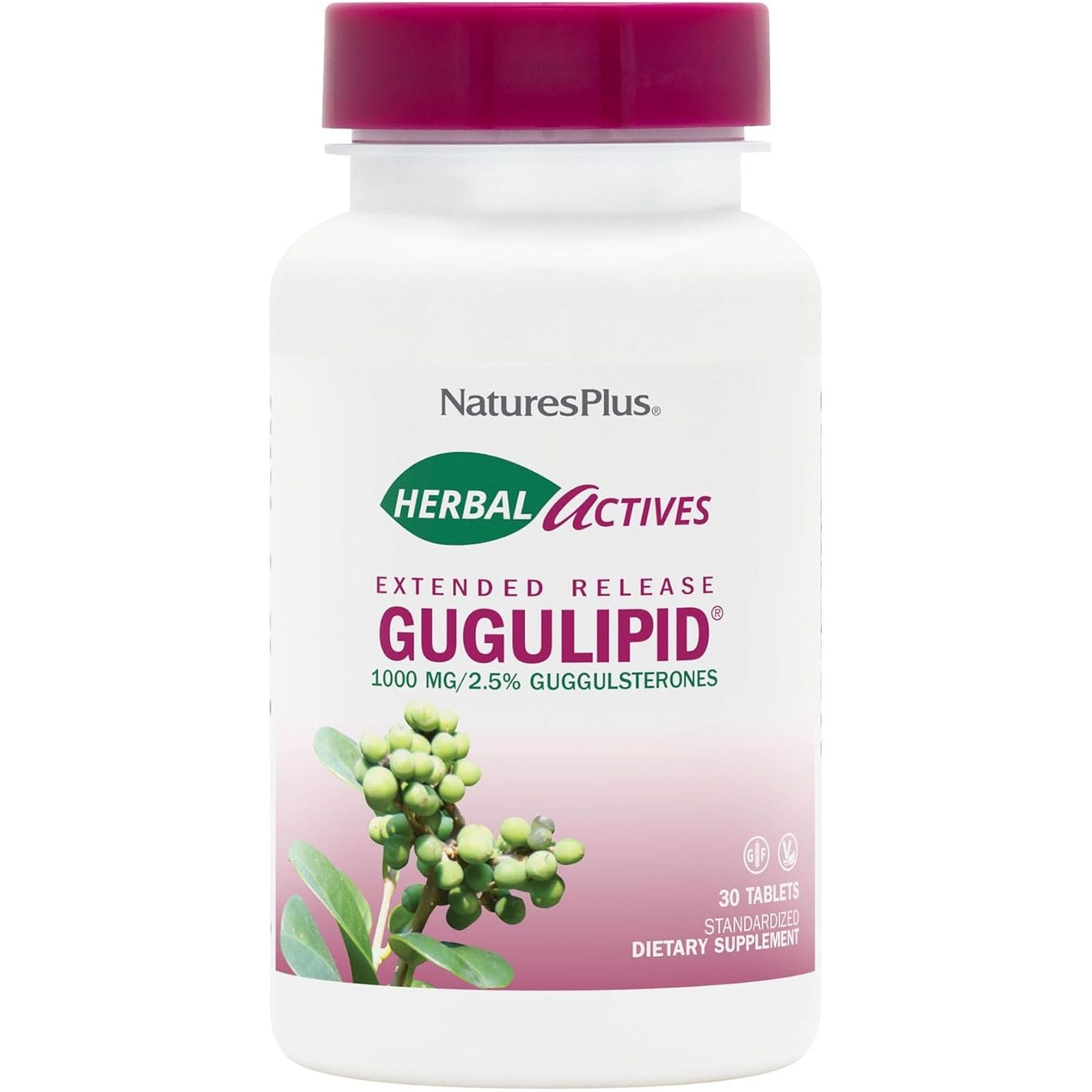 Natures plus Herbal Actives Gugulipid, Extended Release- 1000 Mg, 2.5% Guggulsterones - 30 Servings