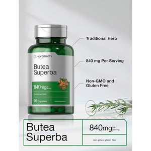 Horbäach Butea Superba Root 840Mg | 90 Capsules | Male Performance | Non GMO, Gluten Free Supplement