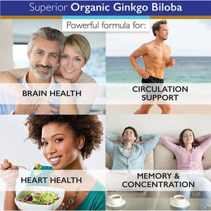 Superior Labs - Ginkgo Biloba - Supports Brain and Heart Health 1200Mg, 120 Vegetable Capsules