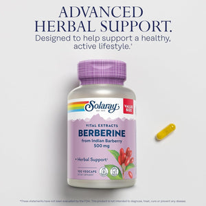 SOLARAY Berberine 500Mg for a Healthy, Active Lifestyle 100 Servings