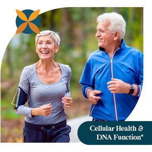 Pattern Wellness Quercetin Supplement with Bromelain - Immune Function & Cellular Health Support 60 Capsules