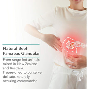 Nutricology Pancreas Pork 425Mg Supplement - Digestive Enzymes for Pancreas, Amylase, Protease, Lipase, Hypoallergenic - 60 Count