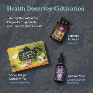 Dragon Herbs - Tao in a Bottle Capsules | Herbal Formula Supplement to Support Stress, Mood, Focus, Adaptability, (60 Capsules, 450 Mg)