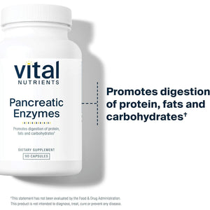 Vital Nutrients Pancreatic Enzymes 1000Mg | Pancreatin Digestion Supplement with Protease, Amylase & Lipase 90 Capsules