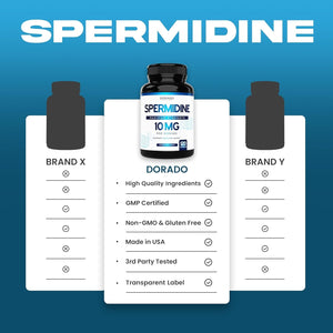 Spermidine Supplement (10Mg of 99% Spermidine 3HCL - Third Party Tested) 120 Capsules - Made in USA