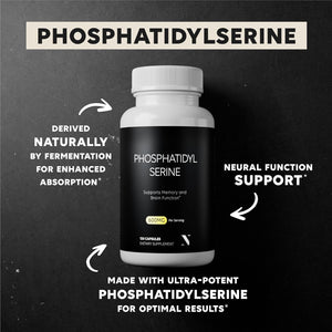 Newt Phosphatidylserine Supplement 600M - Brain Food, Neural Function and Stress Support 120 Capsules