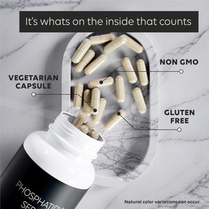 Newt Phosphatidylserine Supplement 600M - Brain Food, Neural Function and Stress Support 120 Capsules