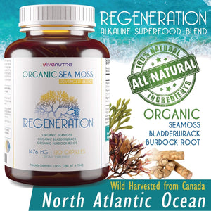Organic Sea Moss Capsules, Bladderwrack & Burdock Root 120 Count